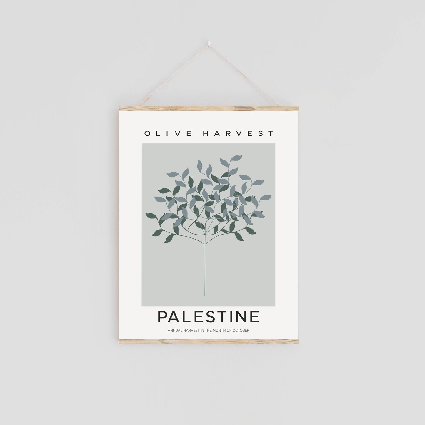 Palestinian Heritage: Olive Harvest