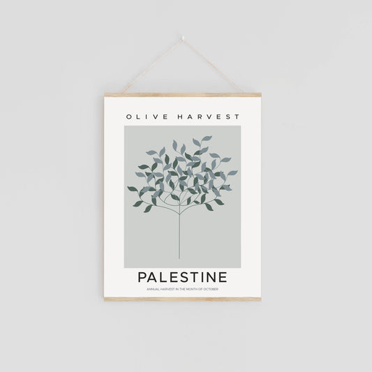 Palestinian Heritage: Olive Harvest