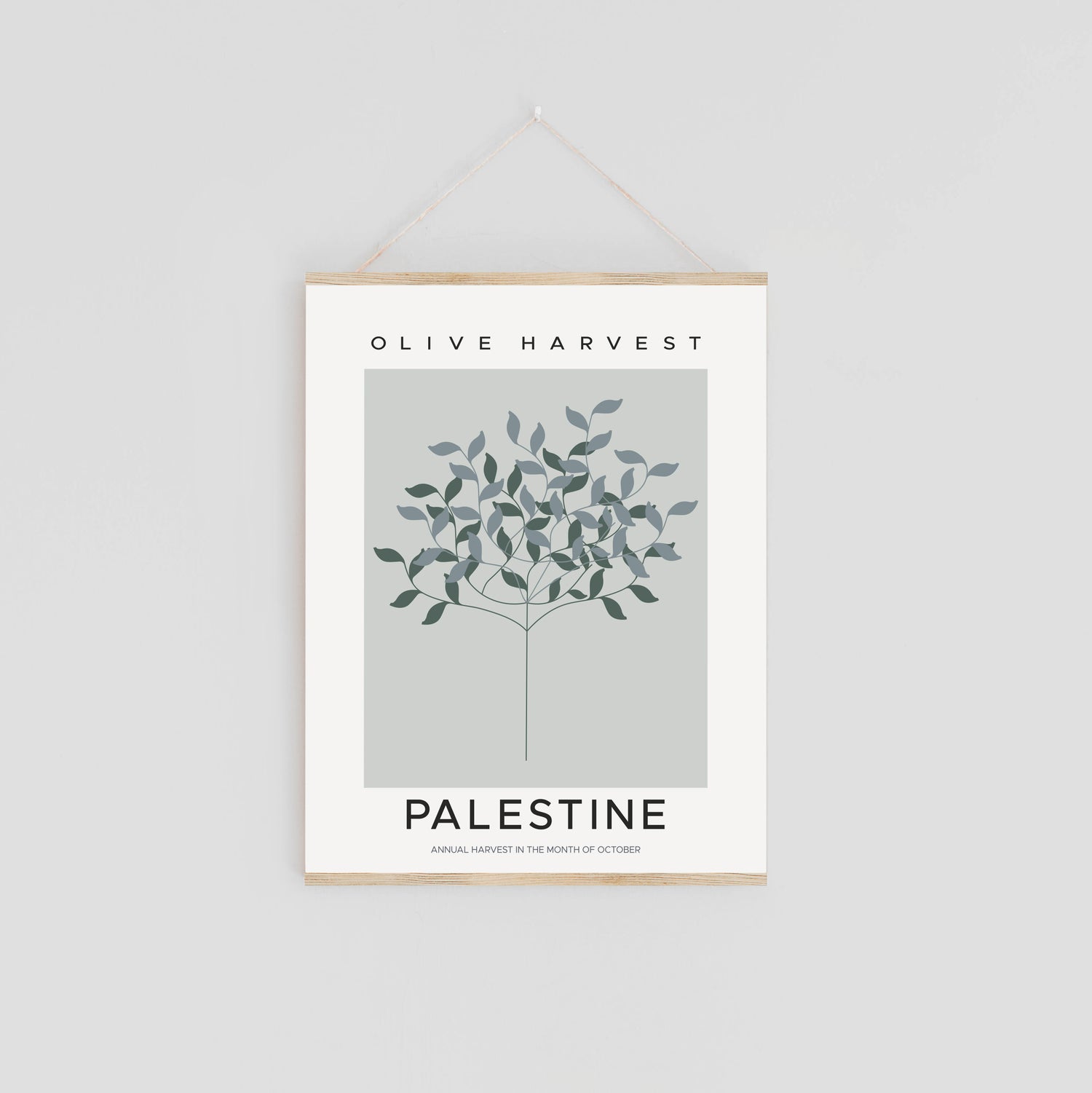 Palestine Collection